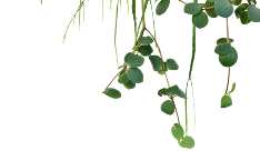 Decorative leaf